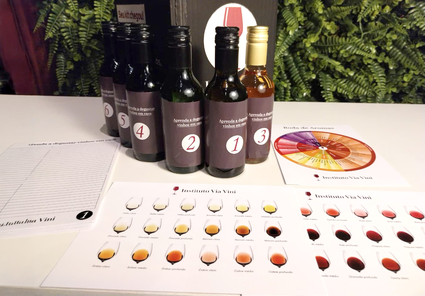 Materiais do Kit Degustação Prática Via Vini