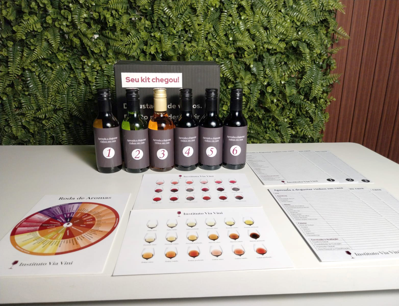 Kit Degustação Prática Via Vini sobre a mesa