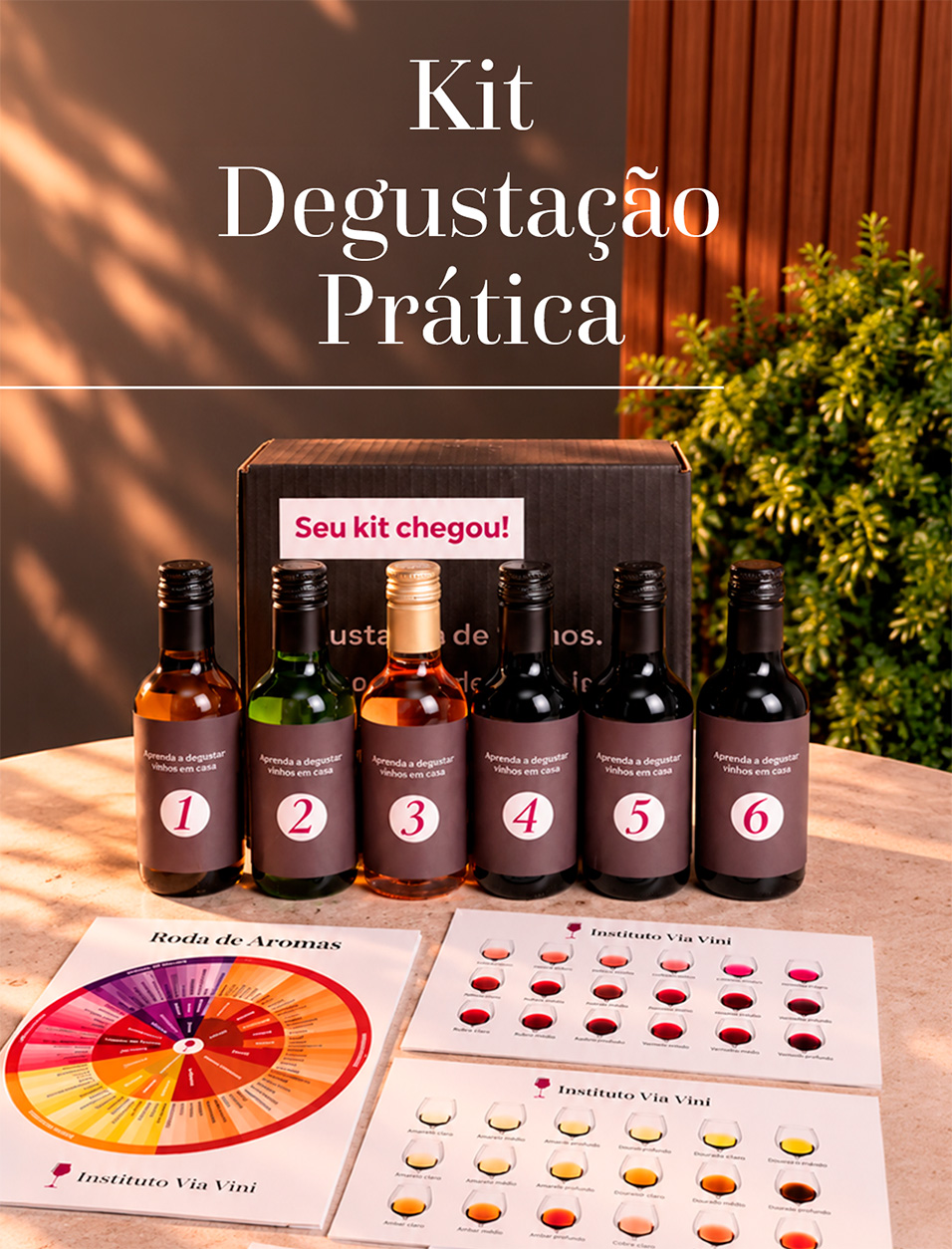 Kit Degustação Prática Via Vini